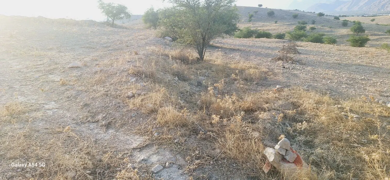 زمین باغی ۳۰۰۰متر در روستایی پاکو