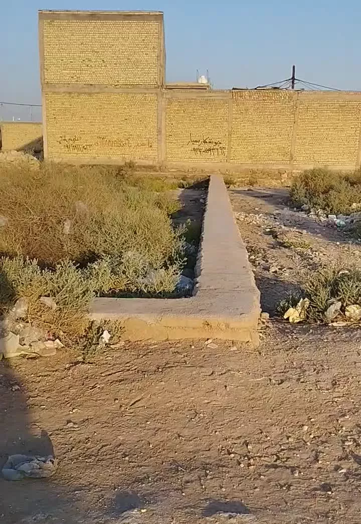 زمین شهرداری۴