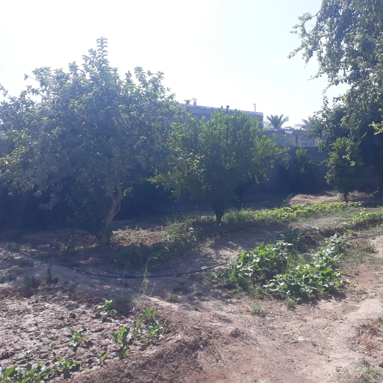 زمین به مساحت ۵۰۰ متر نزدیک کانال آب