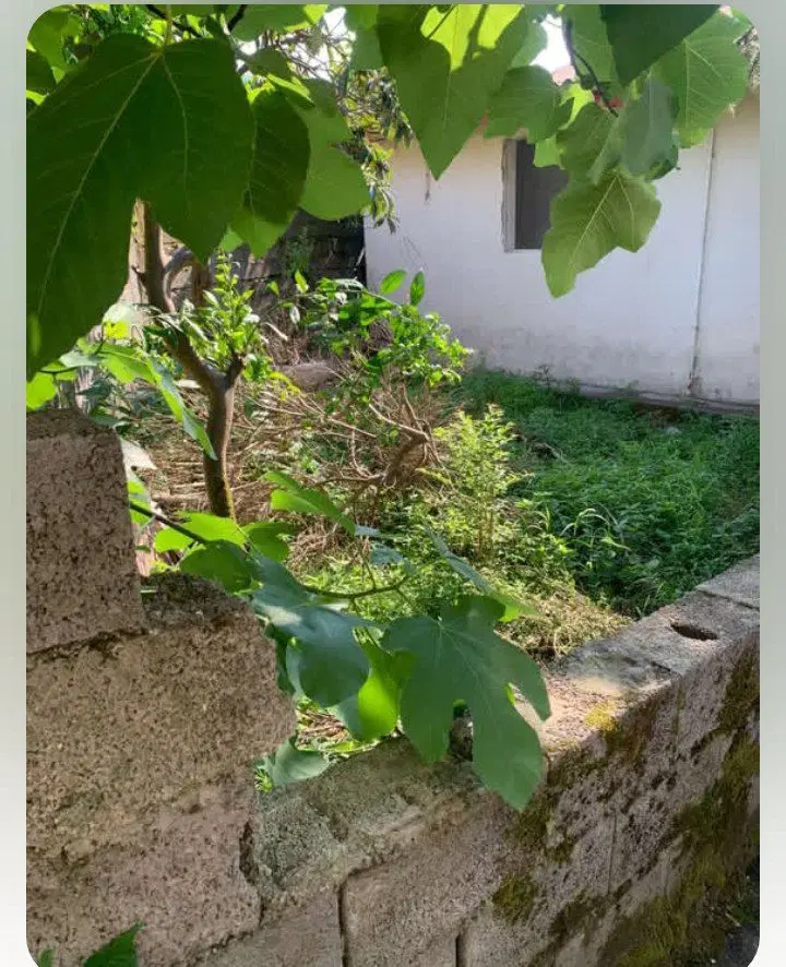 فروش یک قطعه زمین