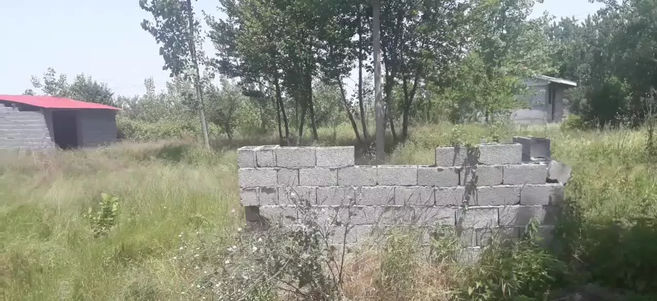 700 متری سند دار جاده انزلی شکار اسطلخ