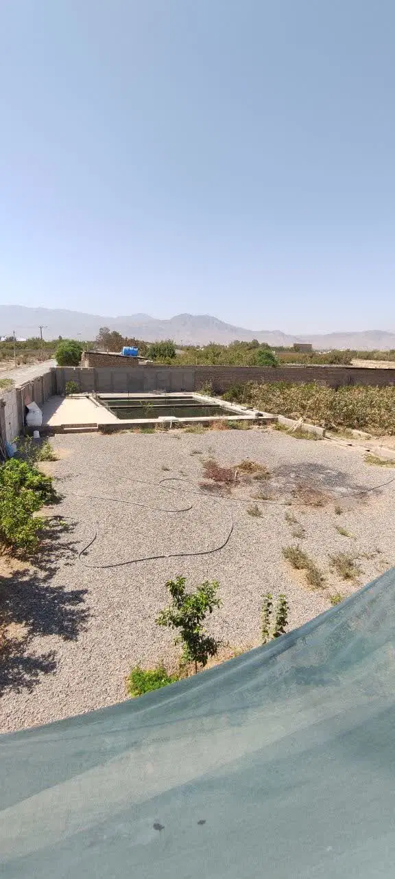 یاغ پسته 5222 متری کوچه سنگ خارا