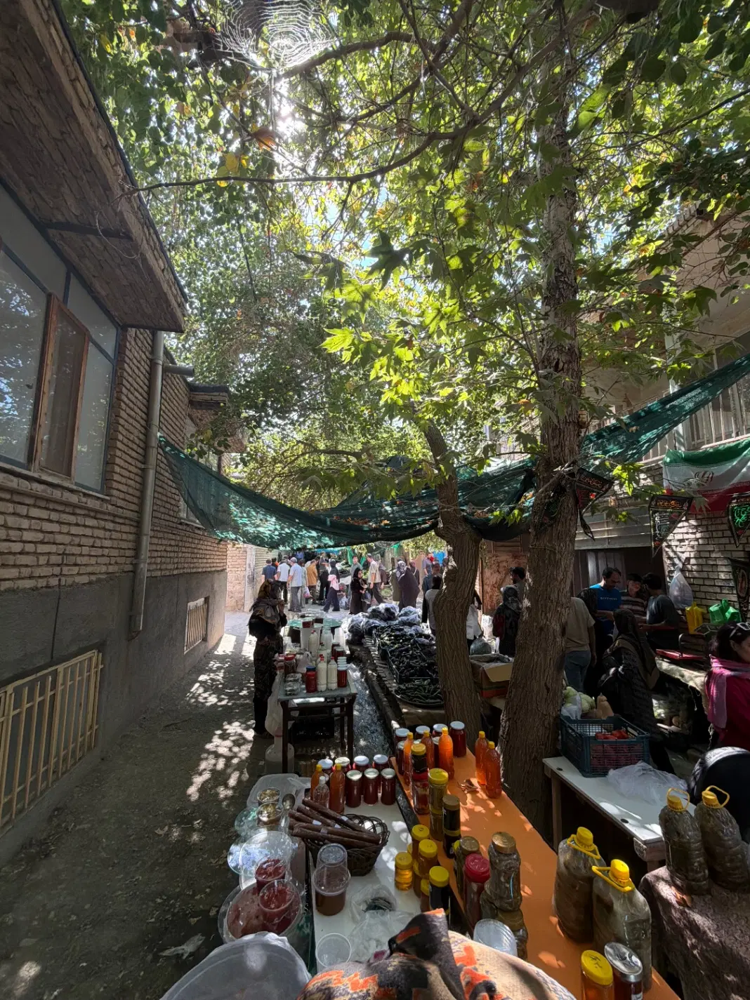 اراضی نخریسی شاندیز حصار سرخ با مجوز پروانه