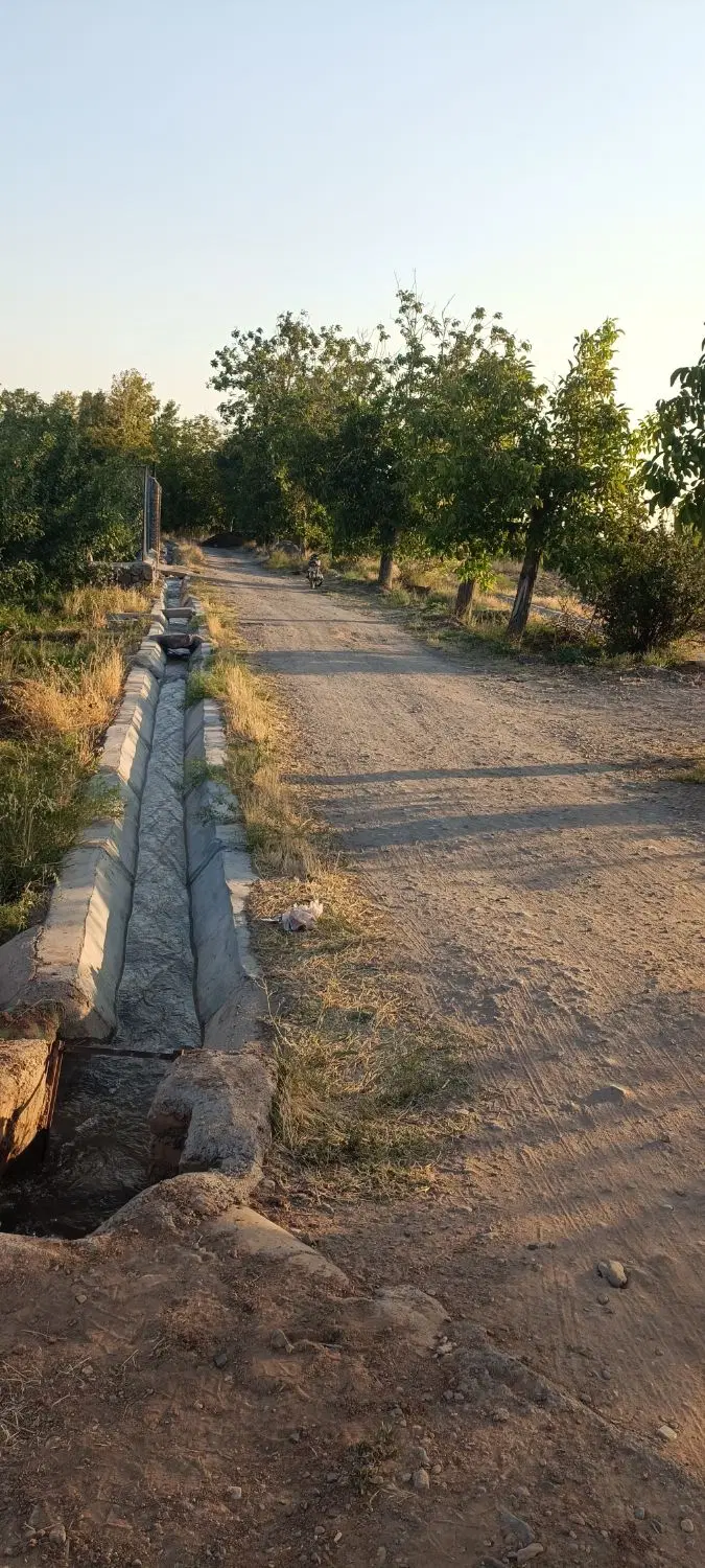 باغچه در فوشنجان