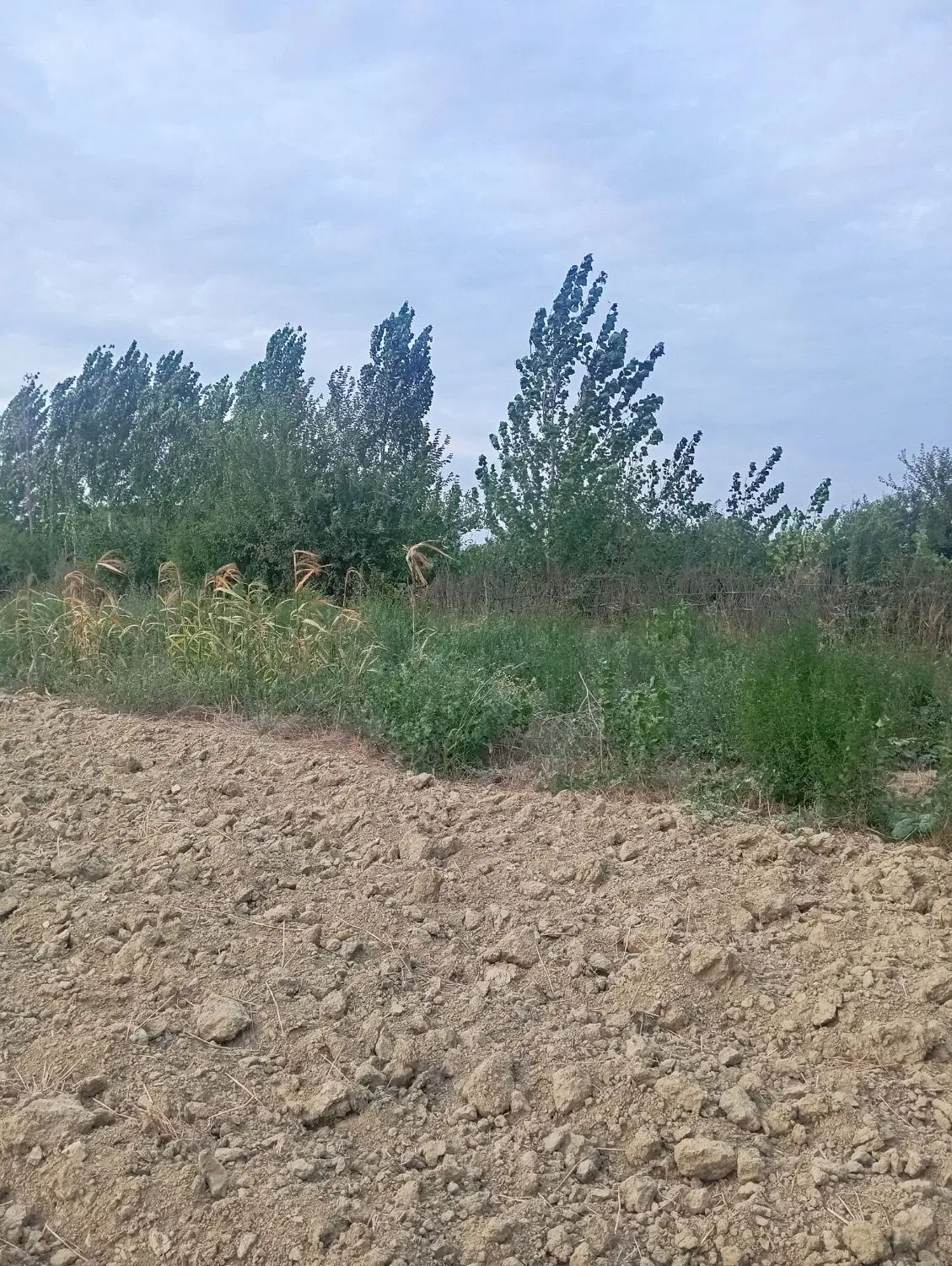زمین اطراف محدوده