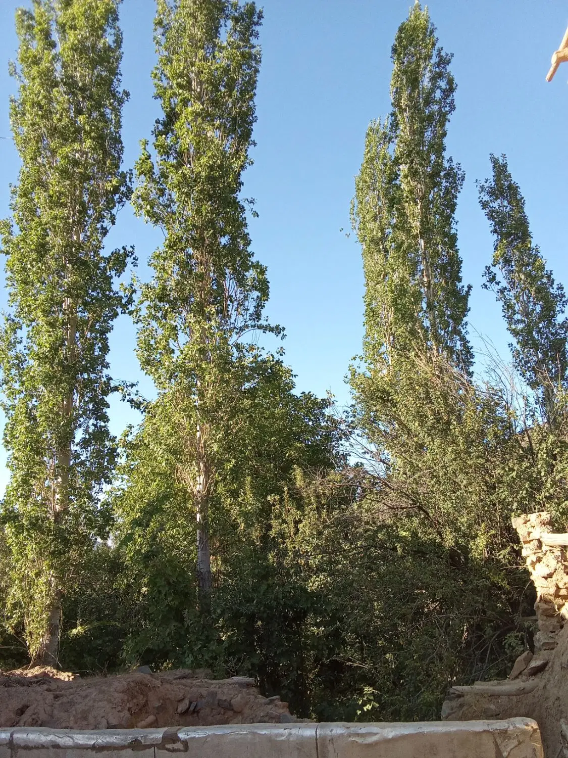 فروش یک قطعه زمین