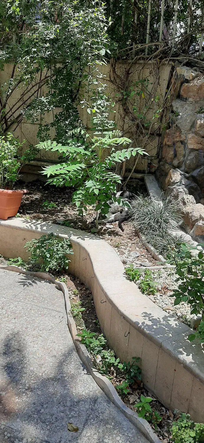 باغ وساختمان مسکونی