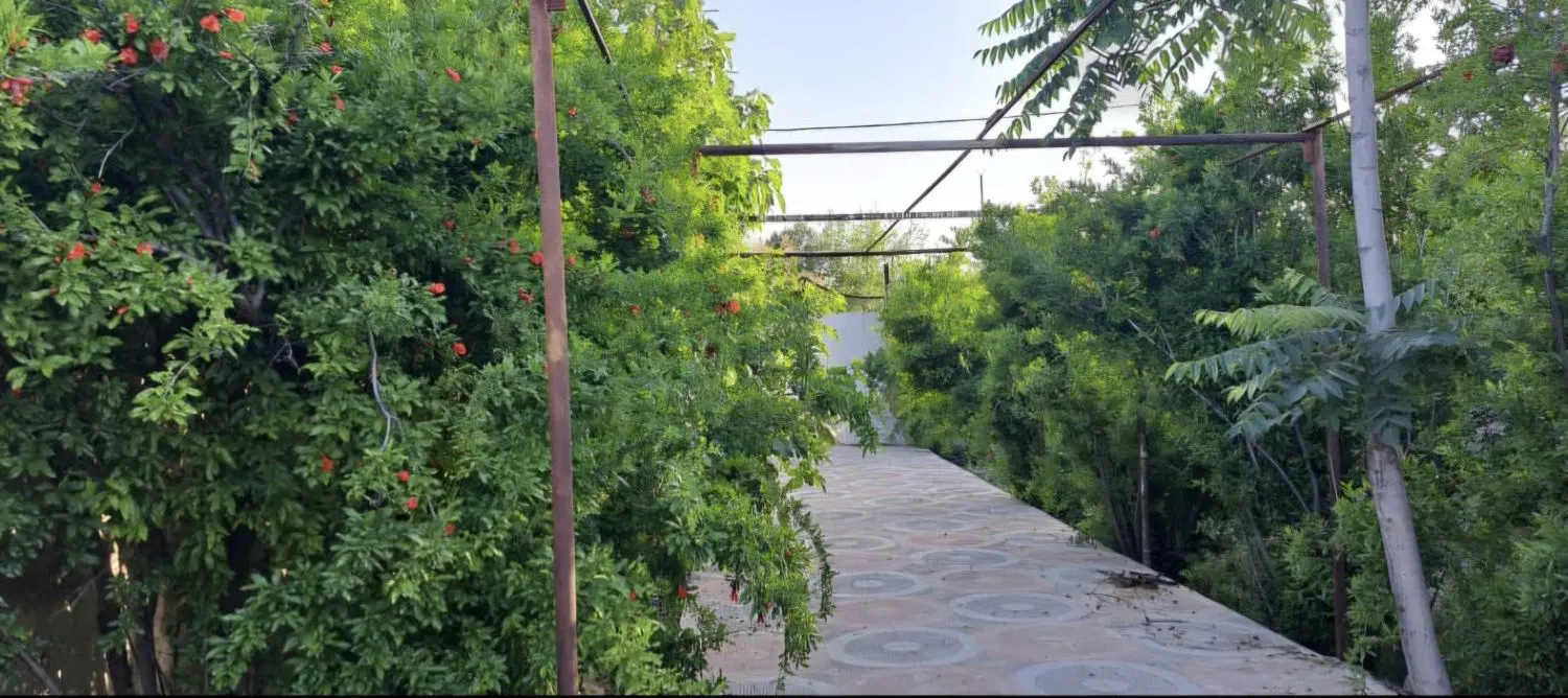 باغ ویلا مدرن