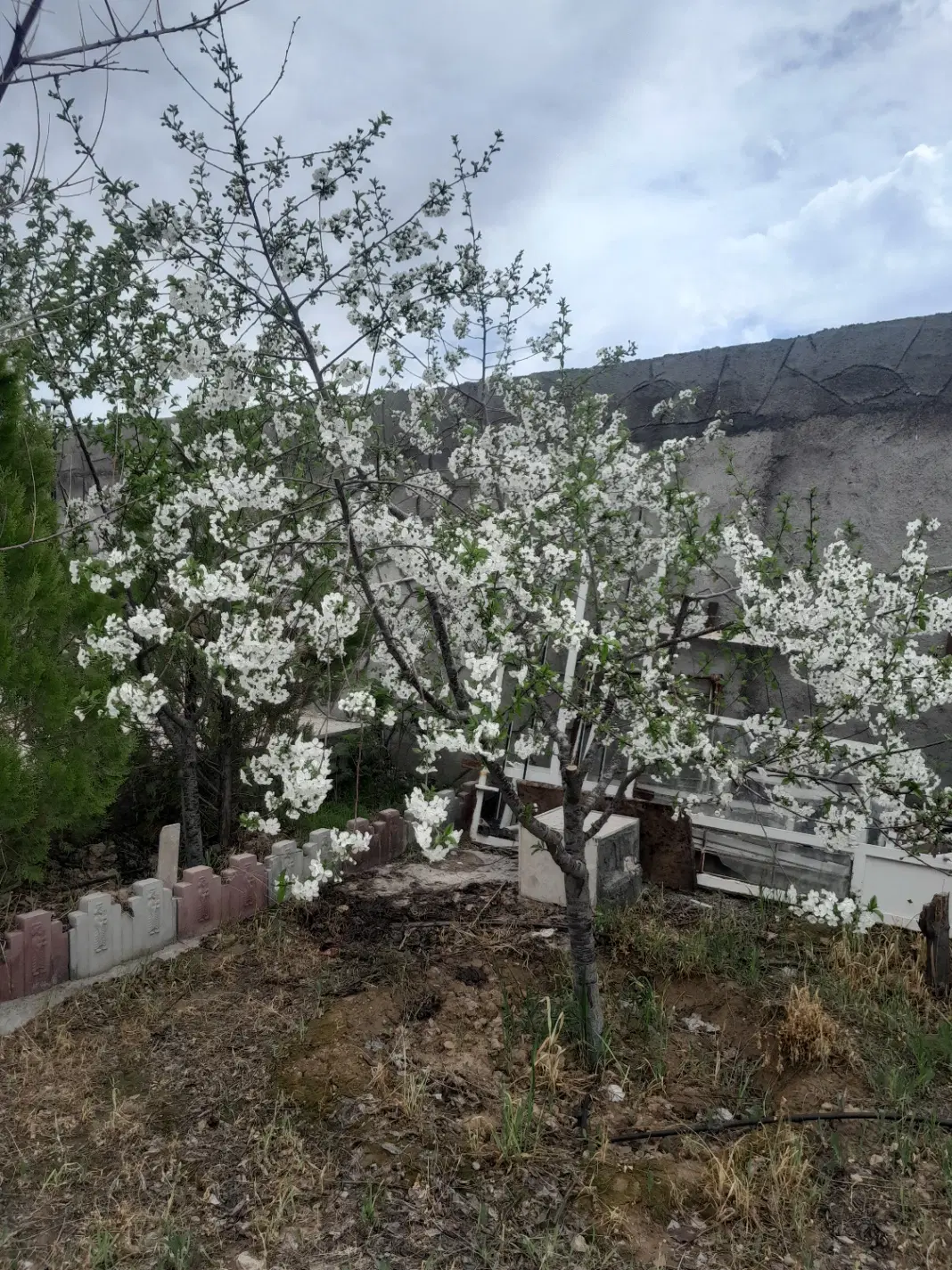 باغچه قابل سکونت اب و برق سندمشهد شاهنامه_نگهبانی