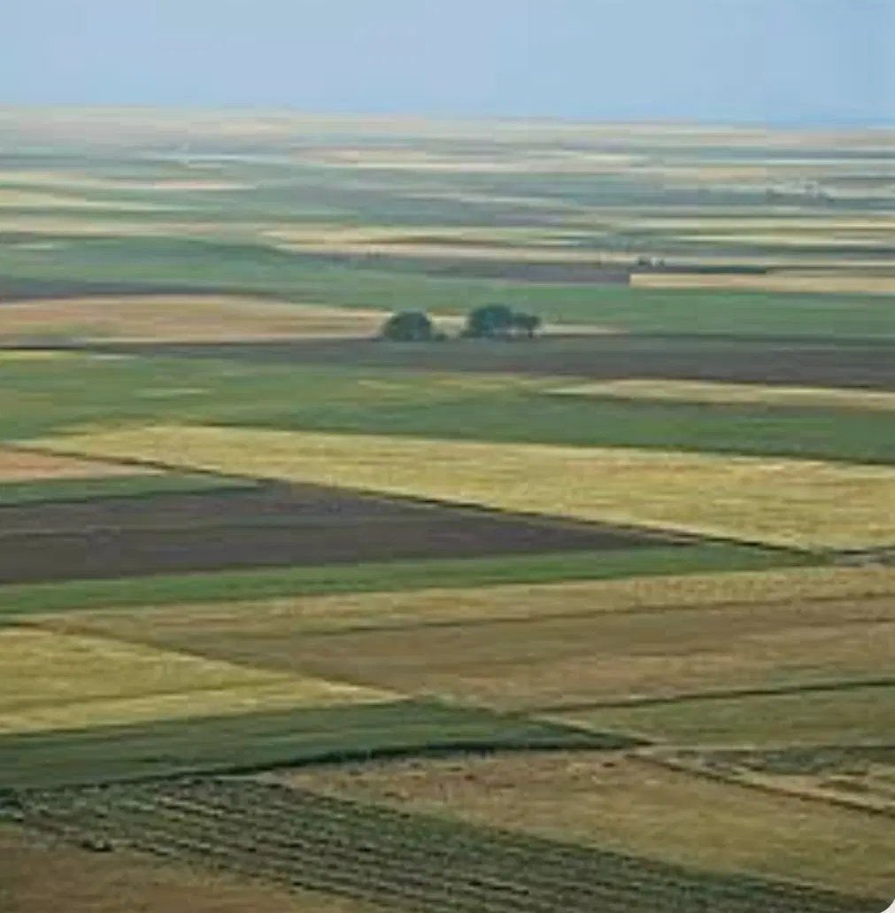 زمین هزار متری