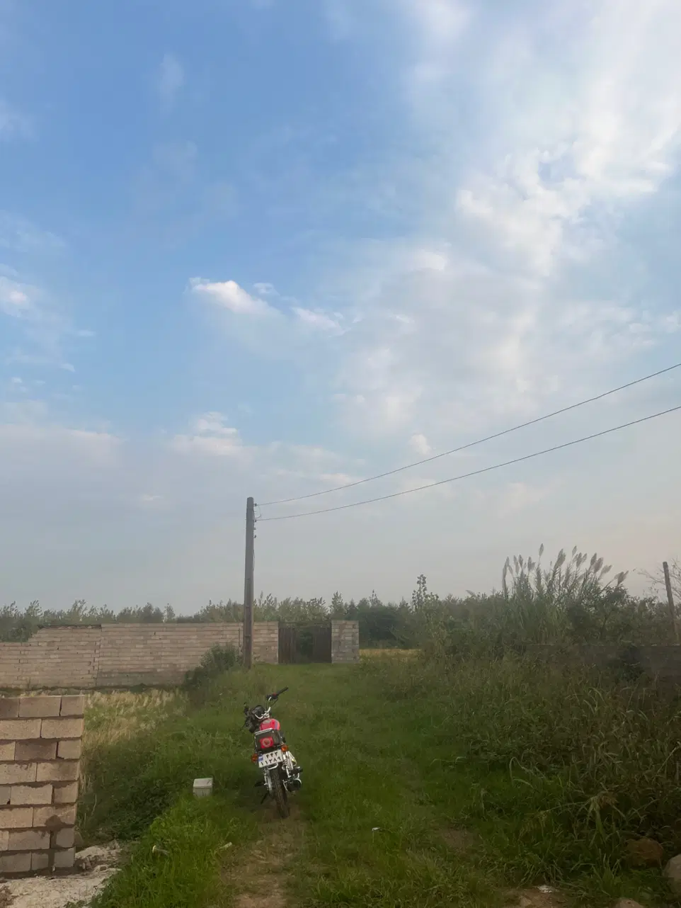 زمین کشاورزی بر خیابان