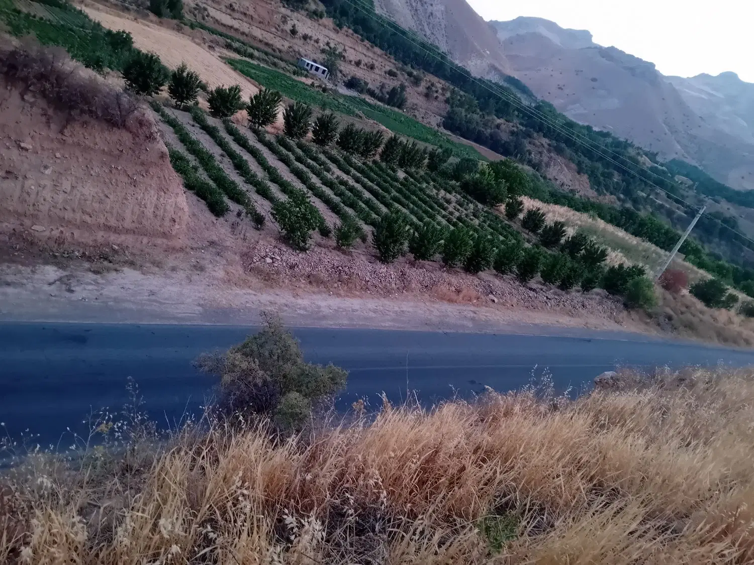 زمین کشاورزی ۵۰۰ الا ۱۰۰۰ متر