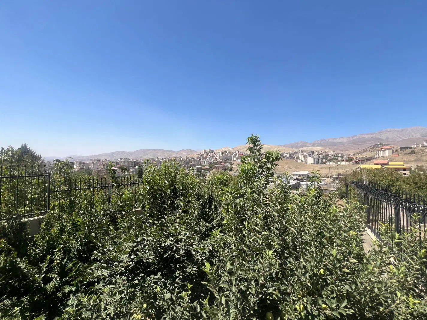 نقلی ترین زمین سند شش دانگ رودهن