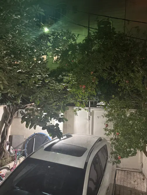 ویلا سند تک برگ متقاضی