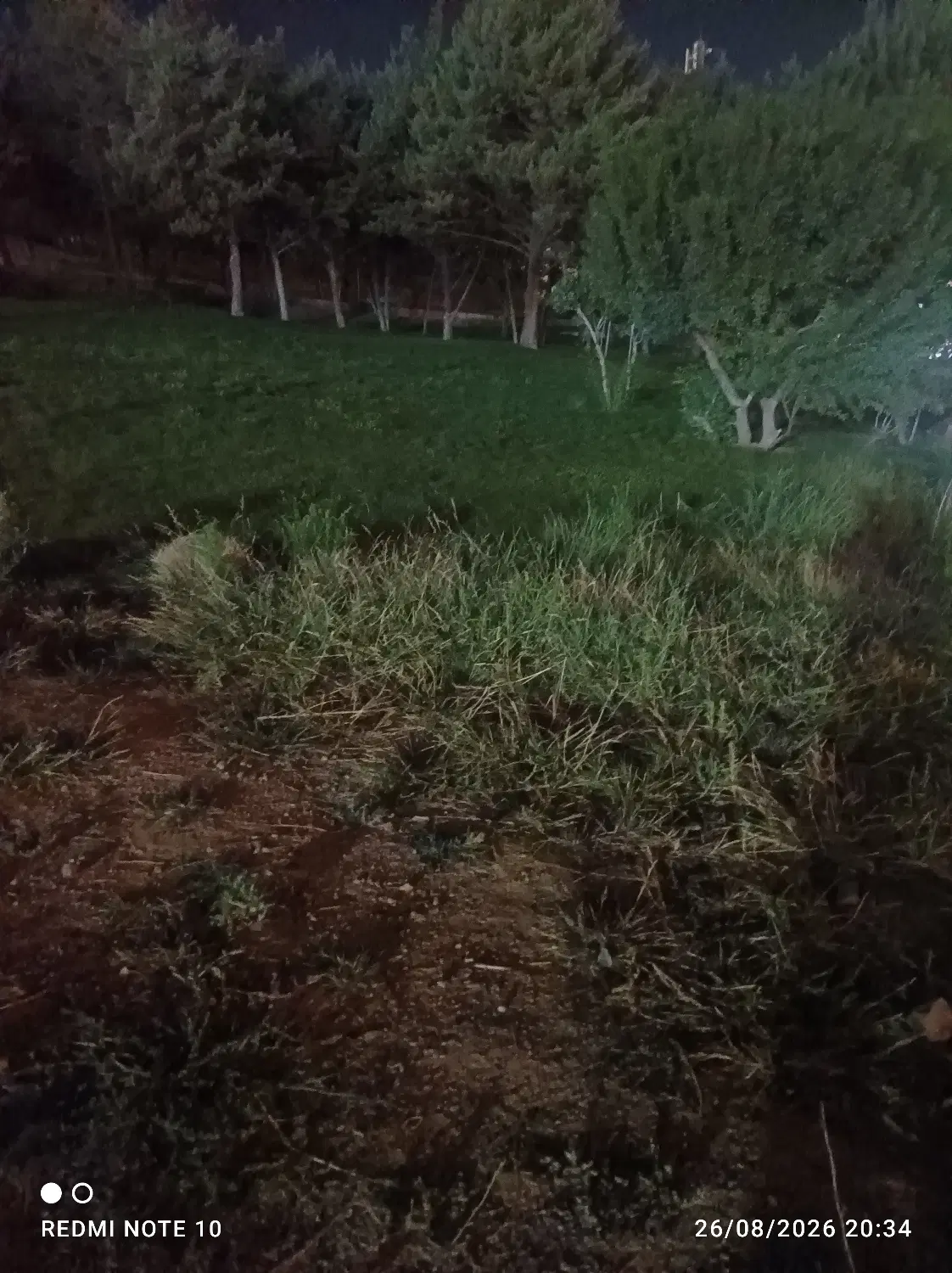 باغ نقلی سرسبز و آبی ۱۱۰۰ متر