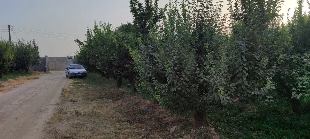 باغچه ویلا