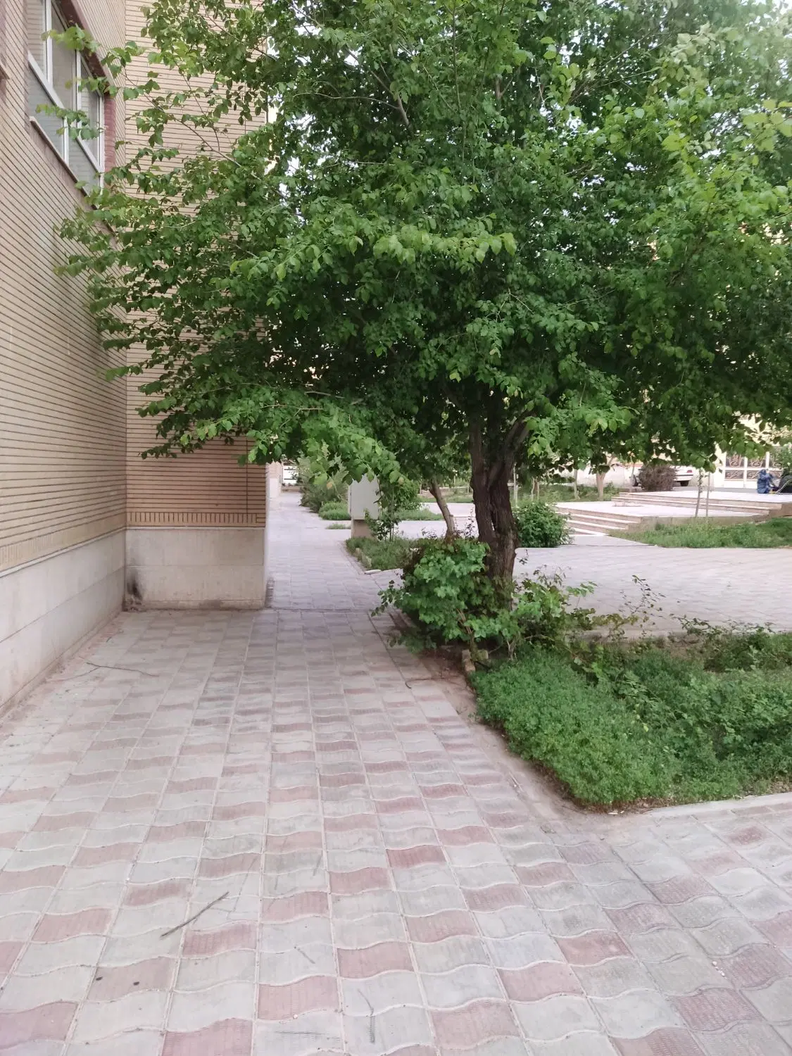 استقلال دو خواب