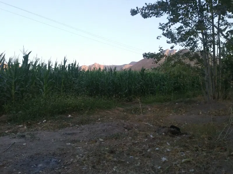 فروش زمین مسکونی شهرک ابوذر سامان