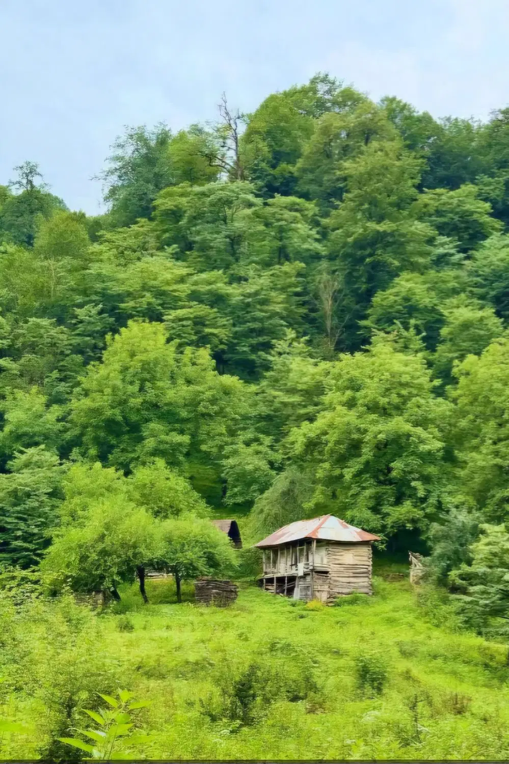 راهنمایی میخام
