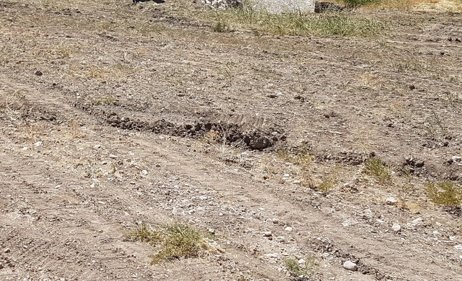 زمین بر خیابان سنبل