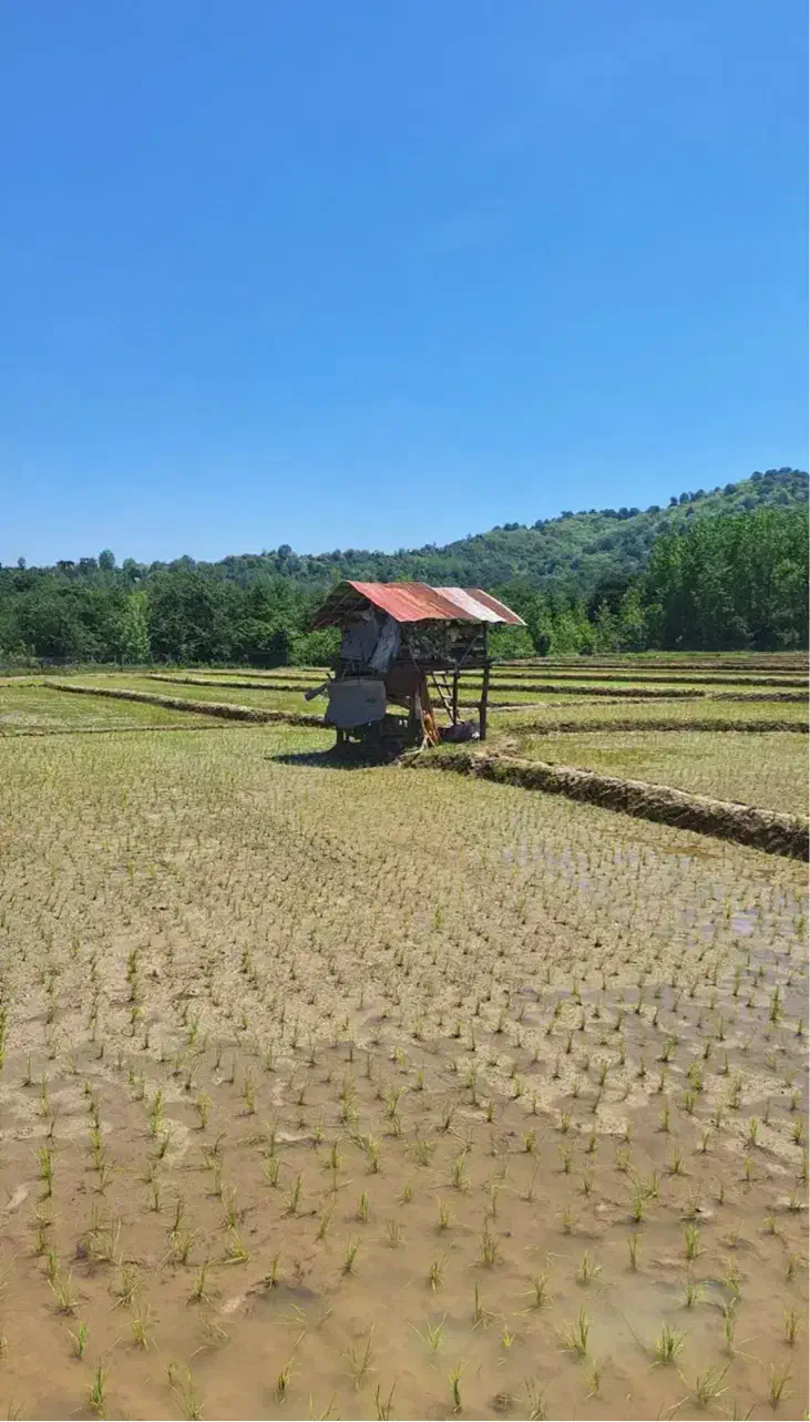 زمین کشاورزی