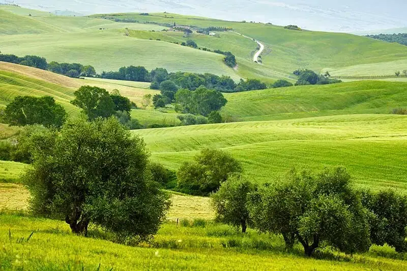 زمین سوله۵۰متری