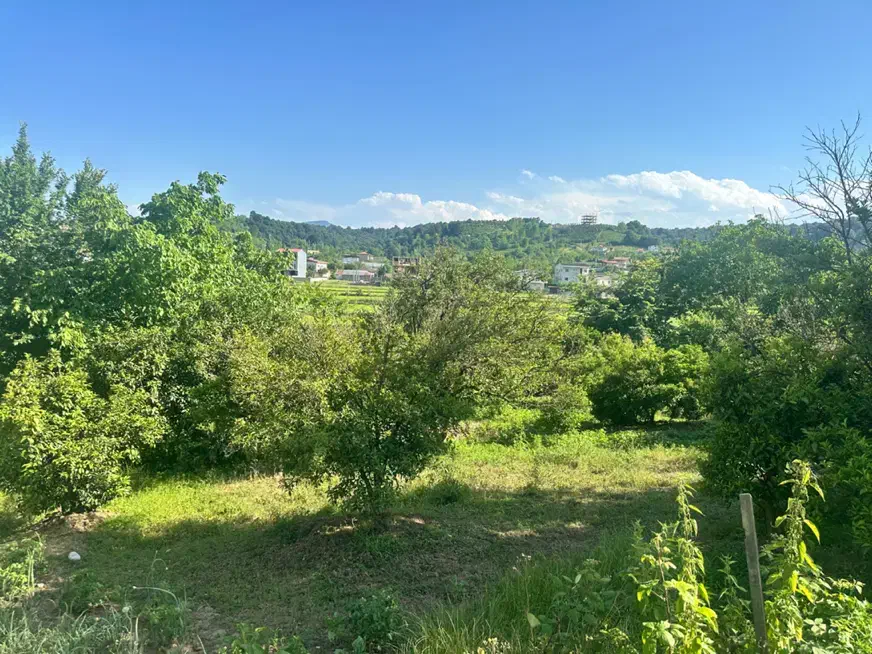 زمین ۳۰۲ متری در شیرگاه منطقه روستایی