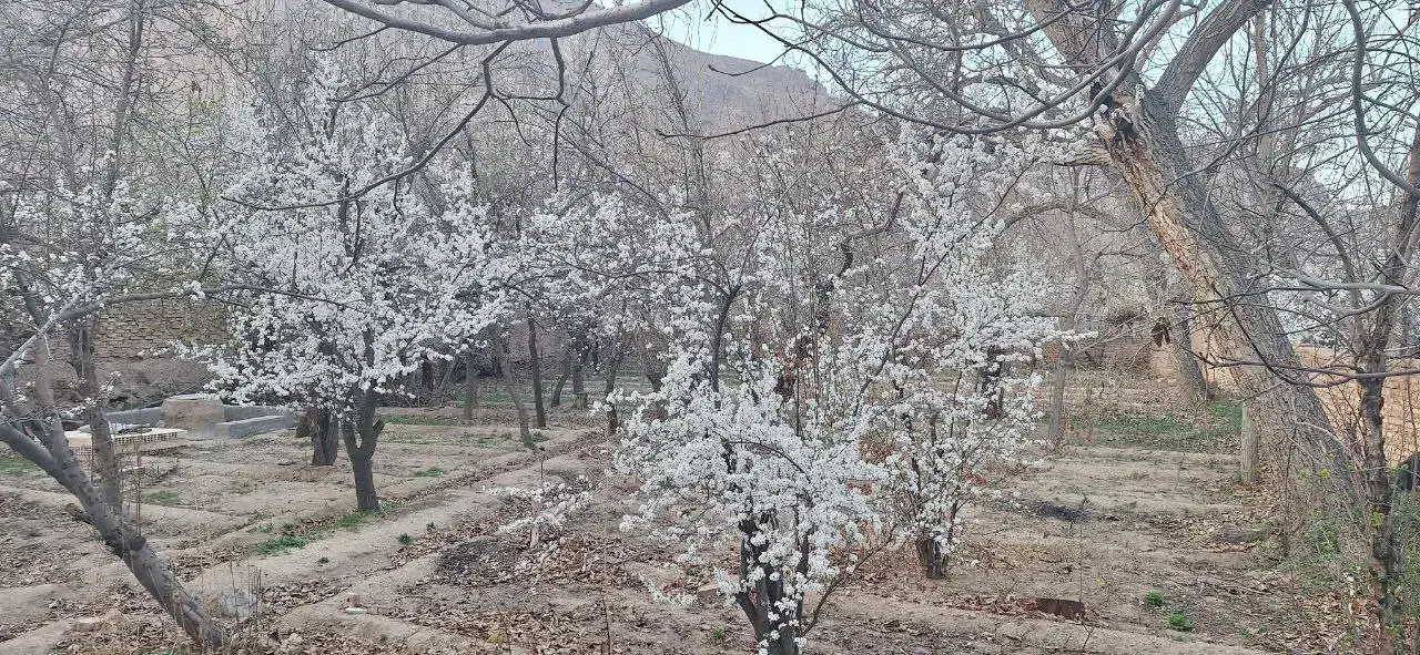 اجاره سالیانه خانه باغ دهبالا محله میانده