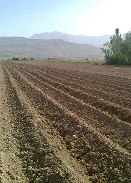 700زمین کشاورزی