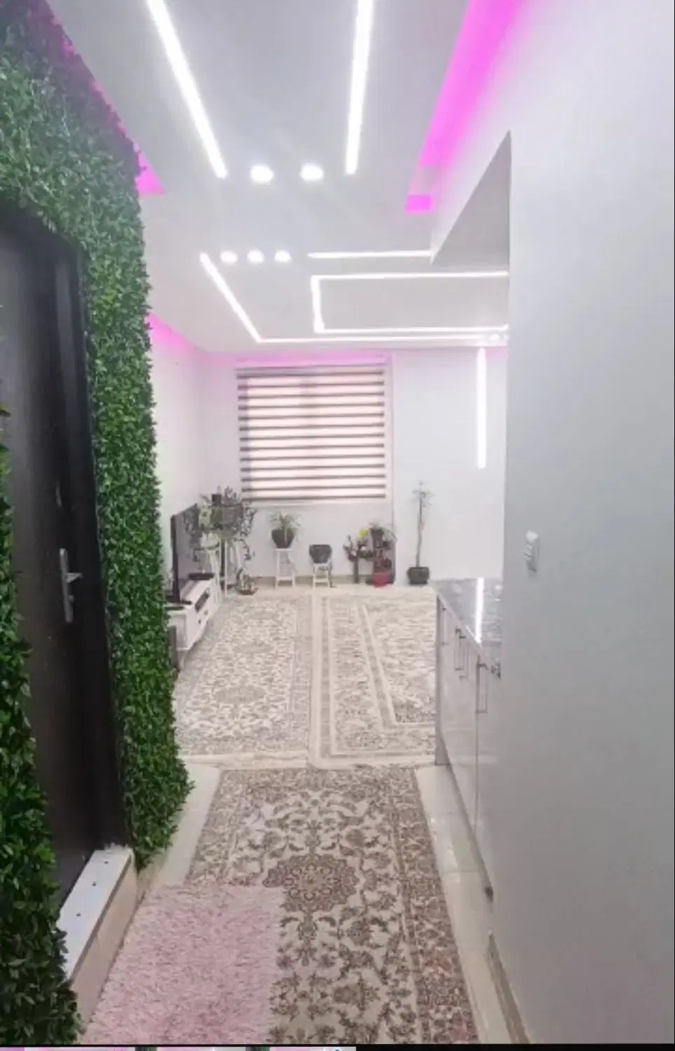 واحد فول فوق لاکچری