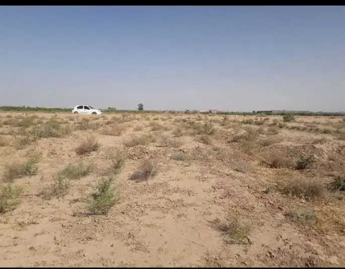 زمین