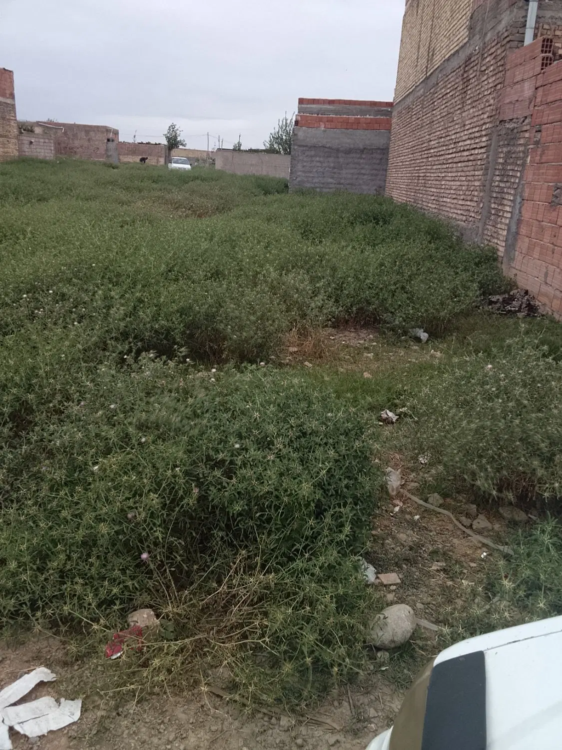 زمین مسکونی