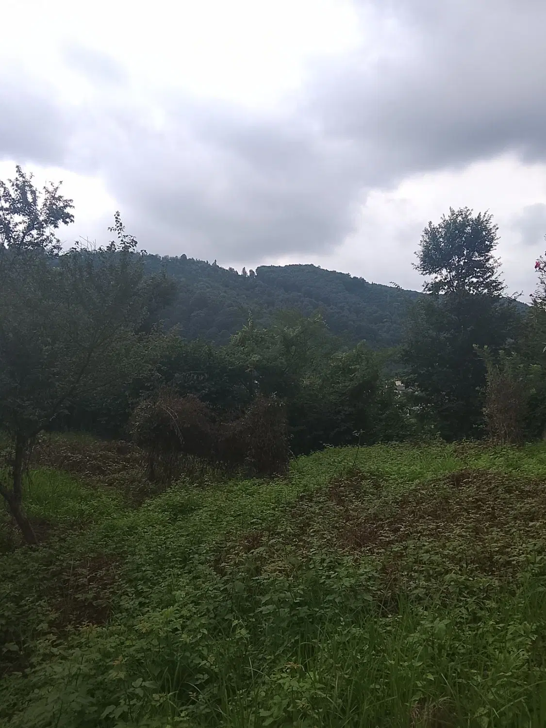 تجربه‌ای از آرامش