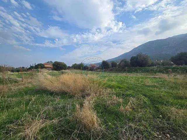 فروش زمین