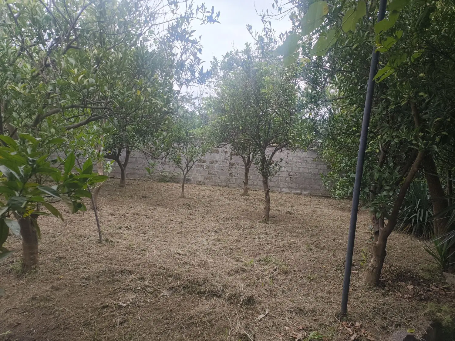 ۲۲۵ مترمربع زمین با سند و جواز روستای کترا
