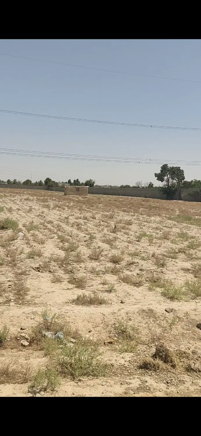 زمین زراعی