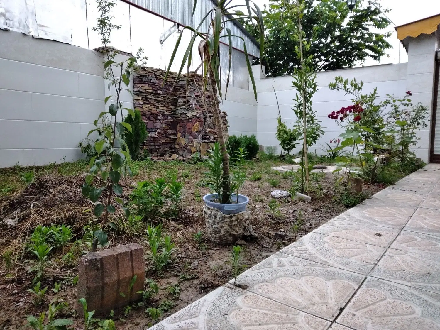 ویلای سه خوابه ، فتاتو خمام