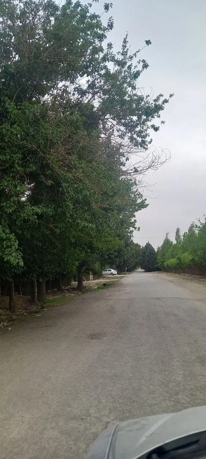 850 متر زمین باغ و باغچه در آزادگان خلیج
