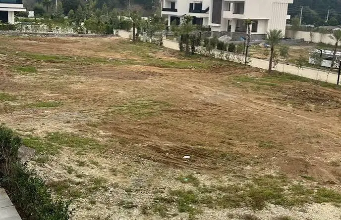 مشارکت در ساخت