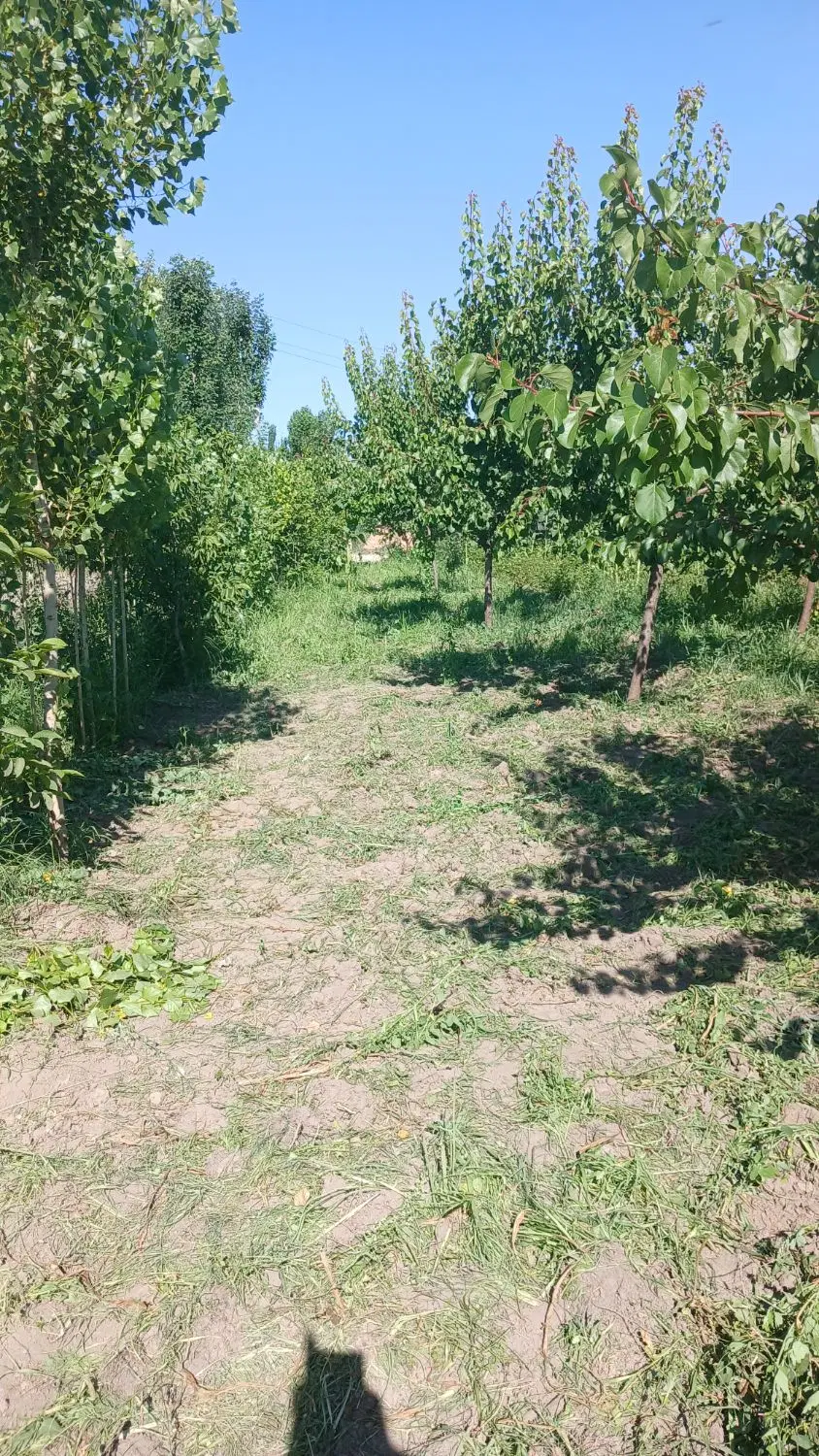 با سلام باغ در روستایی قورق هست