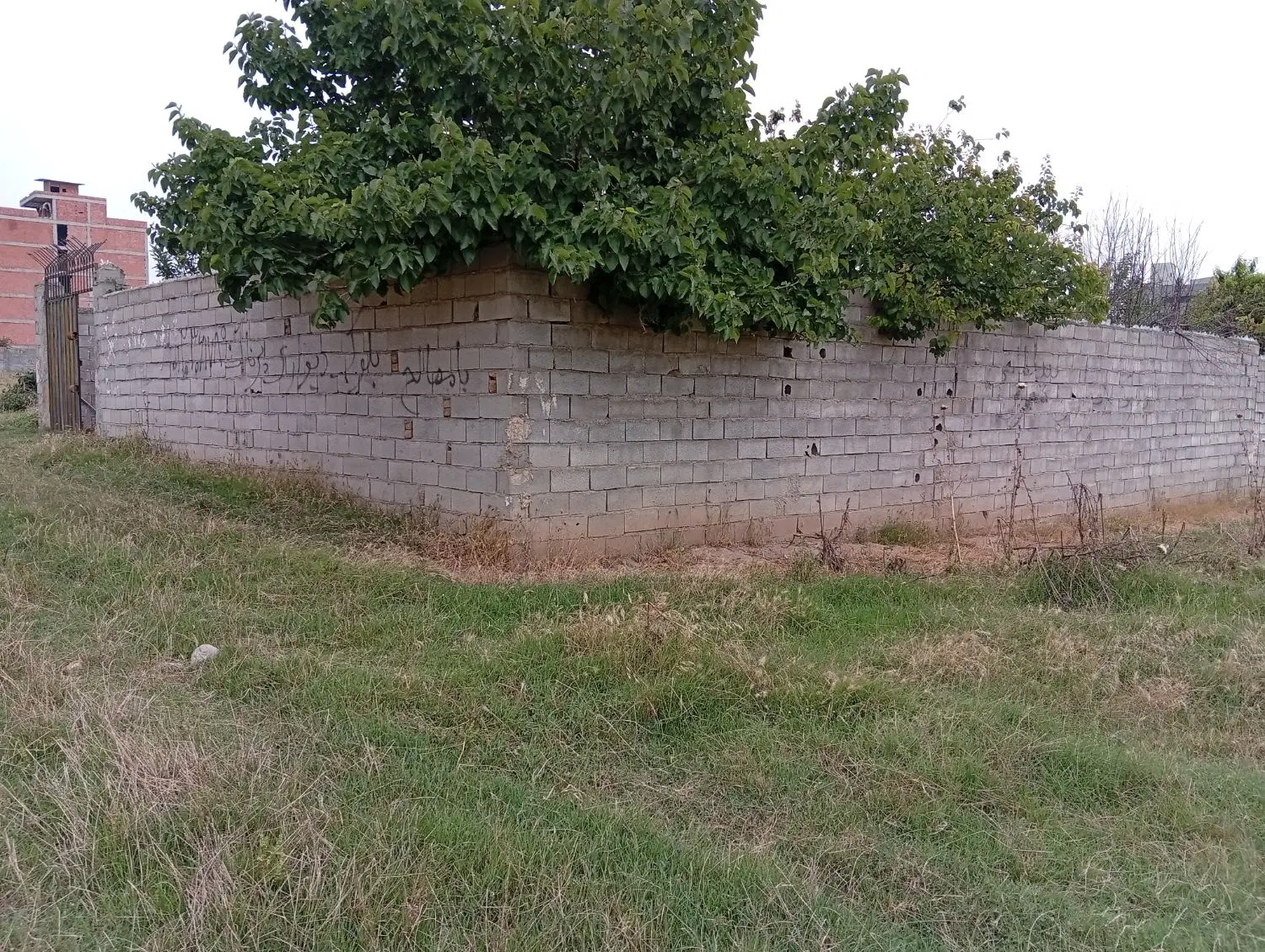 خانه باغ