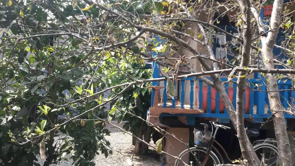 خونه باغ