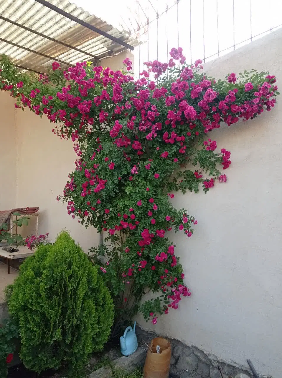 باغ‌ویلا ۴۵۰ متری سرِ دونبش در سوران