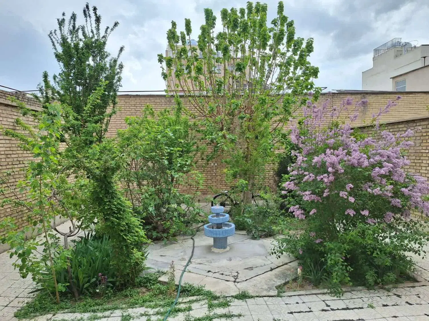 ملک سند داره پاک شده ۱۹۴ متر