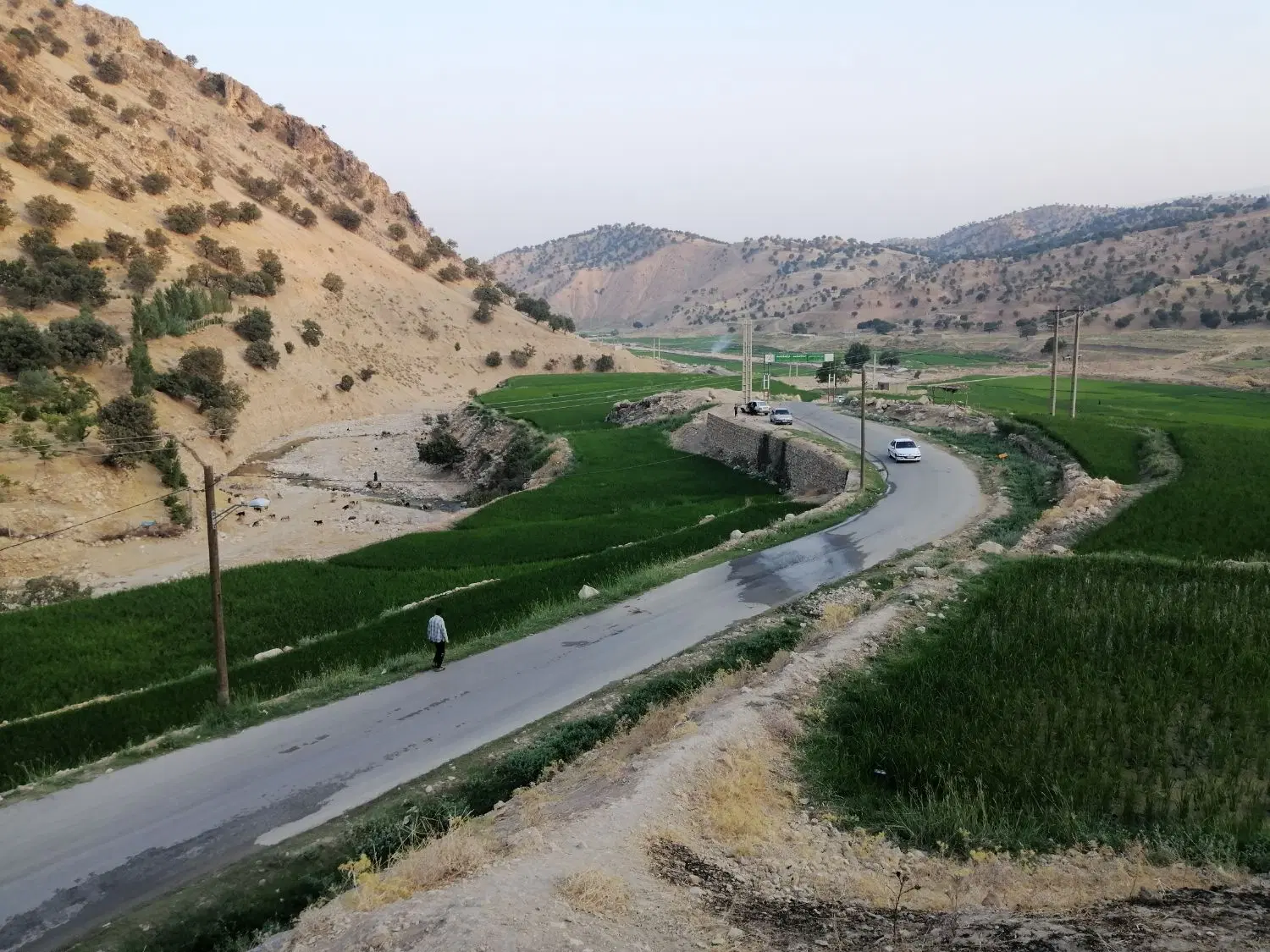 زمین فاز 2 صدرا