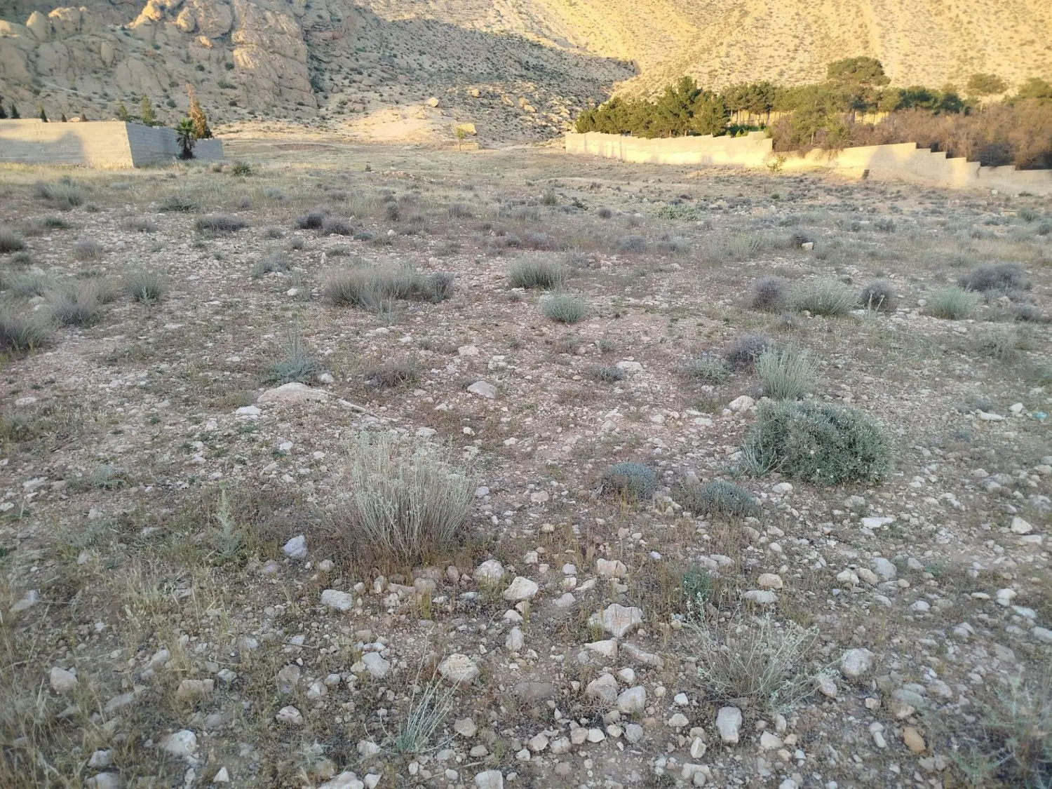 در روستای بیدزرد زمین به فروش می‌رسد 3هزار متر