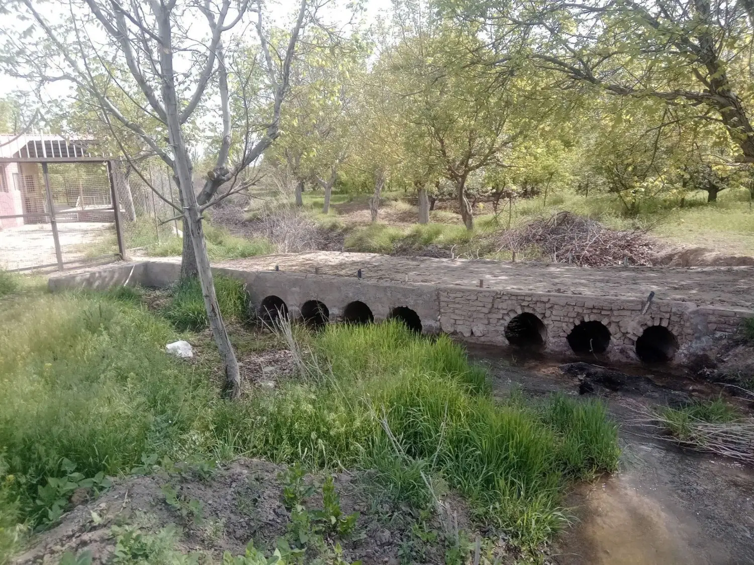 ویلایی شمالی ب شرط صددرصد مشارکت