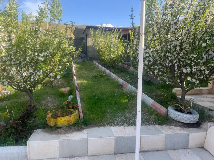 باغ در سعید آباد