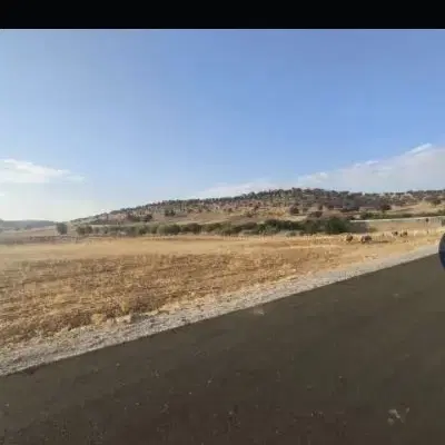 زمین