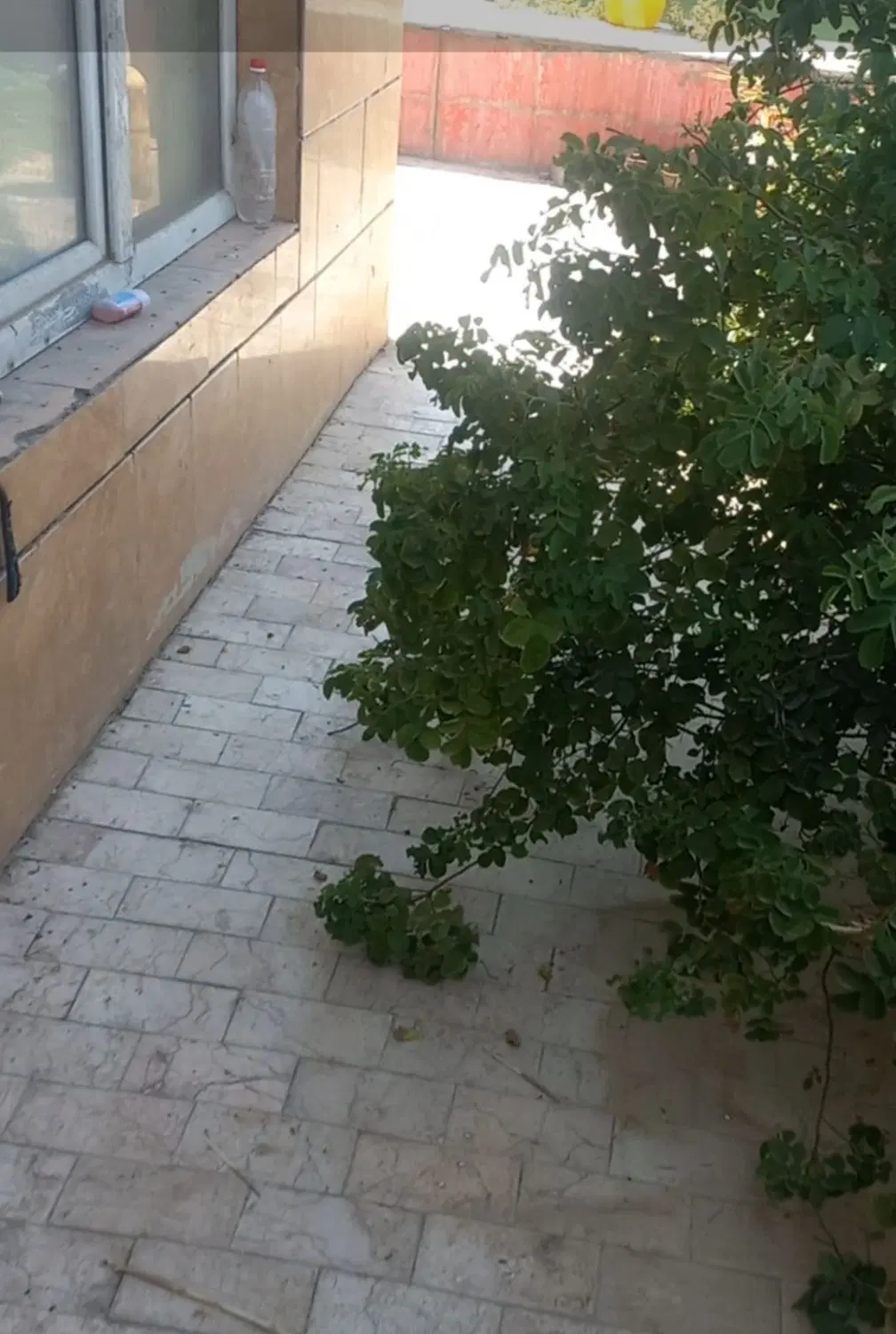 ۱۲۰۰ متر چهار دیواری ۸۰ متر اتاق و استخر